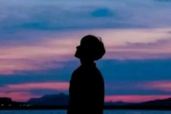 蓝狮企业“自首”策略：市场竞争中的品牌诚信与行业风向标